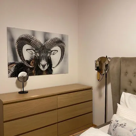 Hochmais Apartament *